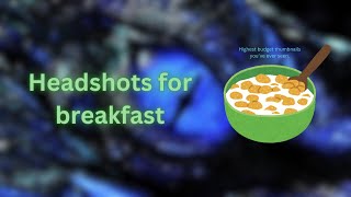 Who ordered headshots for breakfast Hybrid Montage [upl. by Anyahs]