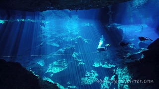 Cenote Diving The Best of Cenote Chac Mool [upl. by Joshi672]