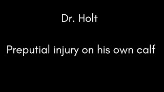 Dr Holt Preputial injury on his own calf [upl. by Hemingway]