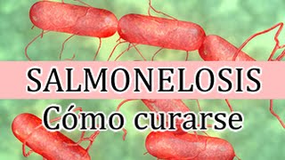 Salmonelosis causas y tratamiento para evitar sus daños y contagio [upl. by Trotter]