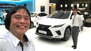 新車搶先看 2020 LEXUS RX300 FSPORT 首發 展示中心 RX 300 GOPR1441 [upl. by Narrat302]