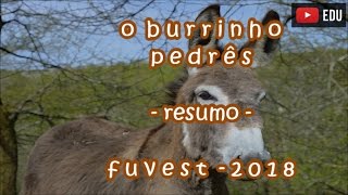 o burrinho pedrês  resumo [upl. by Jeannette]