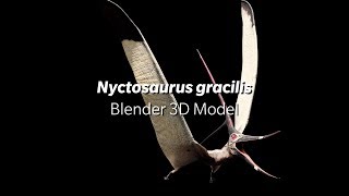 Nyctosaurus Blender 3D Model TurboSquid [upl. by Nyltiac582]