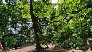 WhitchurchStouffville  Treetop Trekking Stouffville [upl. by Frazier902]