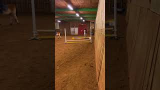 memes funny edit meme horse equestrian pony riding woohooo [upl. by Ambrosio645]