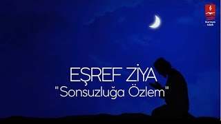 EŞREF ZİYA quotSONSUZLUĞA ÖZLEMquot [upl. by Morie153]