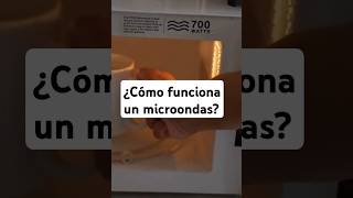 ¿Cómo Funcionan los Microondas La Ciencia detrás de Calentar tus Alimentos [upl. by Mastic]