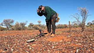 Gold detecting Western Australia 2023  Part 12 [upl. by Eleirbag]