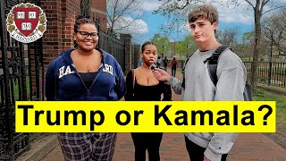 Asking Harvard Students Who They Are Voting For in 2024 [upl. by Marcella]