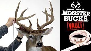 Monster Bucks Vault  Ep 5  A 2016 Georgia Brute [upl. by Beaver]