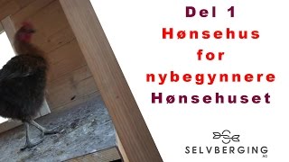 Hønsehus for nybegynnere [upl. by Selij]