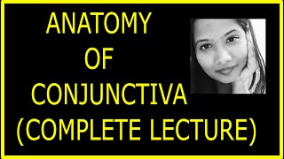 Anatomy of Conjunctiva Complete lecture  Structure Fuction Histology Ophthalmology [upl. by Leopoldine]