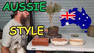 Melaleuca Bonsai Style Change [upl. by Yahsan457]