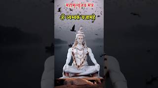 Shiva Mahamrityunjaya Mantra – Mahamrityunjay Mantra 108 Times [upl. by Solrac]