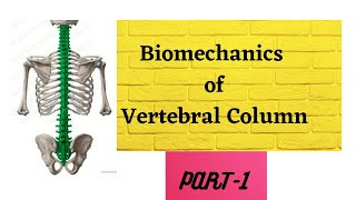 Spine anatomy kinetics kinematics in detail with notes and diagrams [upl. by Feliza]