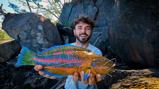 Ces gros poissons exotiques foncent sur mon appât vivant  Vlog PÊCHE 974 [upl. by Zsamot842]