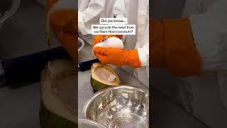 how we upcycle the meat from our nam hom coconuts 🥥 [upl. by Znerol423]