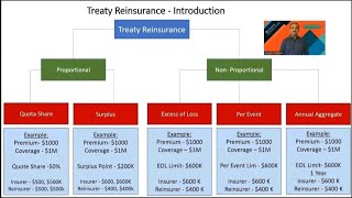 Treaty Reinsurance [upl. by Hedaza230]