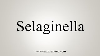 How To Say Selaginella [upl. by Norret]