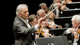 Bartók The Miraculous Mandarin  Mehta · Berliner Philharmoniker [upl. by Oibaf387]