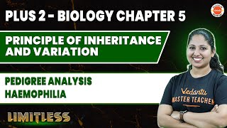 Plus Two Biology  Chapter 5  Principle Of Inheritance  Pedigree Analysis amp Haemophilia [upl. by Reivaz]