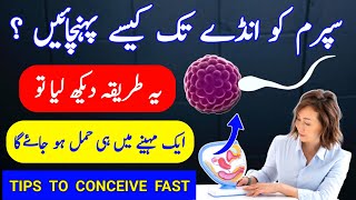 How To Send Sperm inside For Pregnancy How To Get Pregnant Fast in Hindi How To Pregnant a Woman [upl. by Katherine]