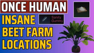 Once Human  INSANE BeetSugar Farm Locations [upl. by Atinoj]