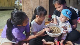 Full video of rice harvesting peanut field tour corn field harvesting and preparing for new crop [upl. by Eniruam389]