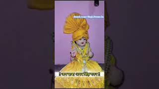 Delhi ho ya Ayi Sab se sundar Amra ki Sarkar Pradeep Guruji Tigdi  viralvideo virlshort [upl. by Halverson]