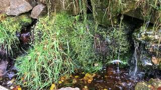 Mini Waterfalls at the Glenevin Waterfall 1 [upl. by Nazar306]