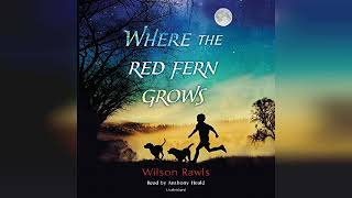 Where the Red Fern Grows  by Wilson Rawls  Audiobook Review [upl. by Ybloc]