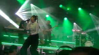 Toran Video Belgium Manifiesta 2024 Laura Tesoro Live [upl. by Ahsimak]