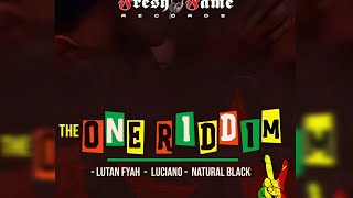 The One Riddim Mix February 2024 Lutan Fyah Luciano Natural Black [upl. by Rolyab]