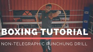 Boxing Tutorial  NonTelegraphic Punching Drill [upl. by Gone]