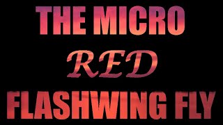 THE RED FLASHWING FLY  SALMON FLY  SEATROUT FLY  FLY TYING  MICHAEL OLSEN FLY TYING AND FISHING [upl. by Arahc]