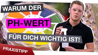 Darum ist der pHWert für Maler so wichtig [upl. by Kaehpos]