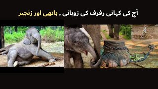 Hathi Aur Zanjeer ہاتھی اور زنجیر Story Today Aj ki Kahani Rufruf ki Zubani  Episode 33 [upl. by Hacker]