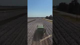 Start with a wide shot of the cotton field with rows of plantsCaption Cotton Harvest Season 🌾 [upl. by Noxin]