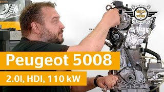 Watch and Work Tutorial Distributieriem vervangen op Peugeot 5008 20l HDI 110 kW [upl. by Berthe562]