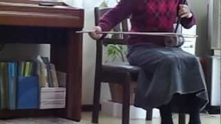 二胡★Erhu SAKURA17 WeiWei Wuu cover [upl. by Namar]