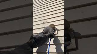 Dryer Vent Cleaning in Allentown PA [upl. by Eyt]