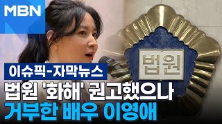 자막뉴스 법원 화해 권고했으나 거부한 배우 이영애  이슈픽 [upl. by Limak]