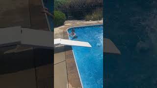 Pool Diving Board Breaks as Boy Jumps off of it  1494588 [upl. by Devlen]