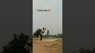 Yorker ball hit🥵 shorts shortsvideo ytshorts sohit cricketshorts youtubeshortstrending viral [upl. by Enelahs]