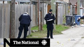 Winnipeg on edge after string of homicides [upl. by Aihceyt]