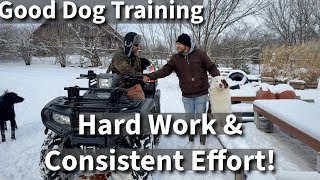 Dog Training Is Simple  Put In The Work And You Will Be Successful [upl. by Ahseiat]