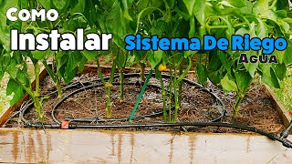 Como Instalar Sistema De Riego Jardin Facil Simple [upl. by Lalise994]