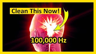 ᴴᴰ 100000Hz • Break Toxins Off Pineal Gland • Targets Free Radicals The Quantum Miracle Frequency [upl. by Nahtnahoj404]