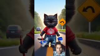 kali billi ne nanhi billi ko girayacat cartoon comedy catlover cute catvideos catshorts cook [upl. by Innej]