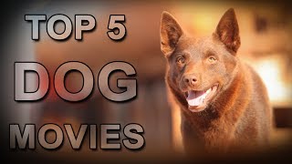 dog tags  favourite scenes [upl. by Rani]